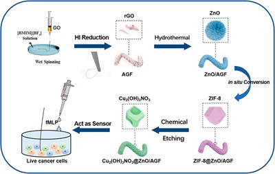 Functionalized Graphene Fiber Modified With MOF-Derived Rime-Like Hierarchical Nanozyme for Electrochemical Biosensing of H2O2 in Cancer Cells